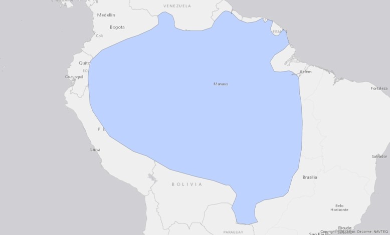 giant-otter-pteronura-brasiliensis