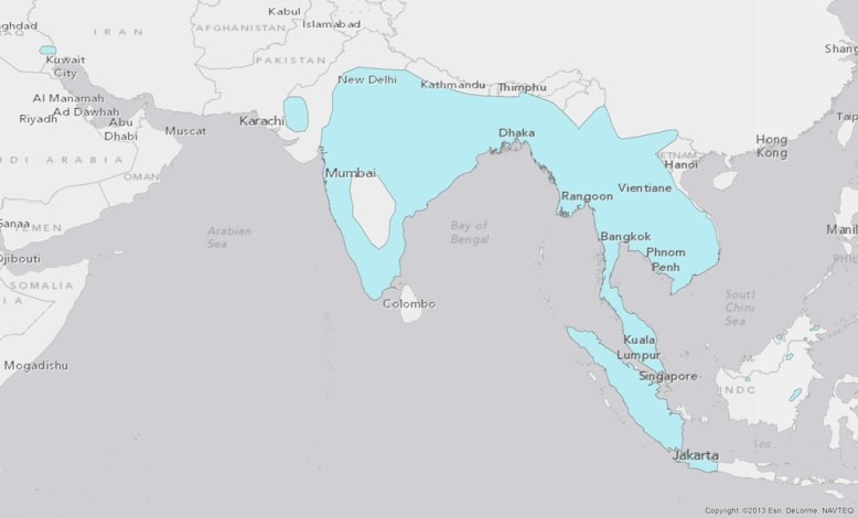 smooth-coated-otter-lutrogale-perspicillata