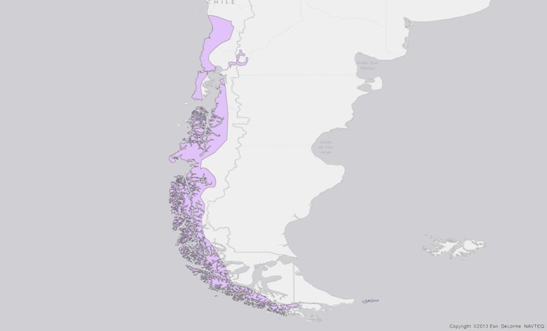 south-american-river-otter-lontra-provocax